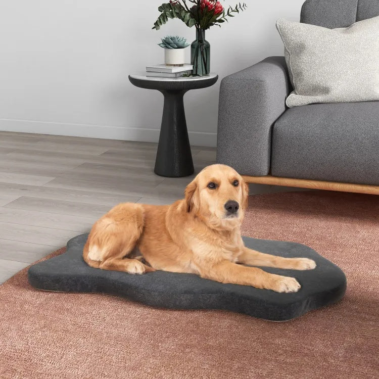 Orthopedic Memory Foam Dog Bed for Large Dogs