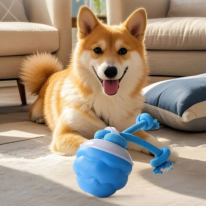 Chase Buddy Smart Puppy Ball with Ropes – Boredom Buster