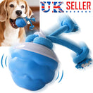 Chase Buddy Smart Puppy Ball with Ropes – Boredom Buster